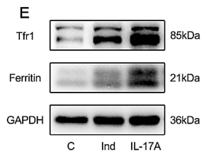 往年补图-37713787-ET1610- 78.png
