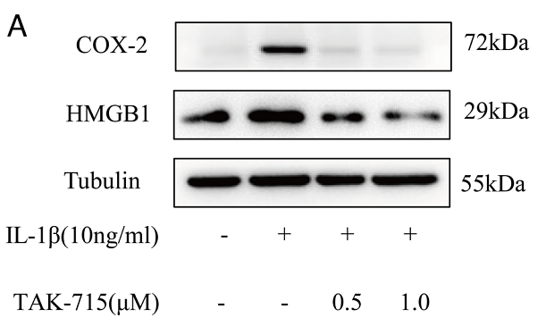 36945021 ET1610-23.png