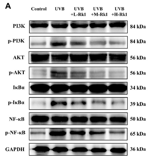 36472249 HA601206.png