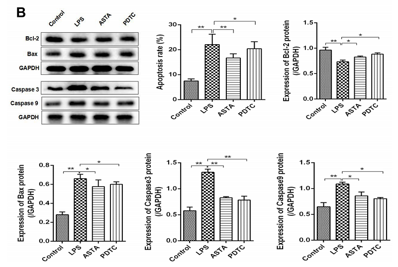 36691330 ET1603-27.png