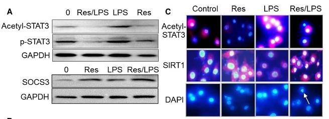 31559687 ET1603-40.jpg