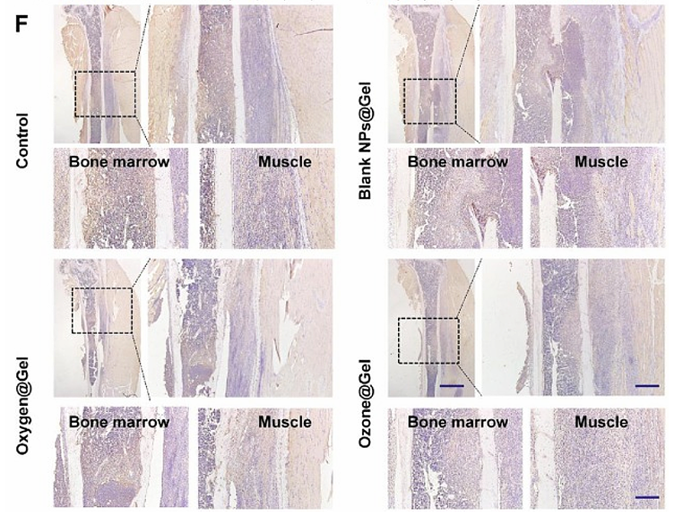 Wu Hangtian,et al-1.png