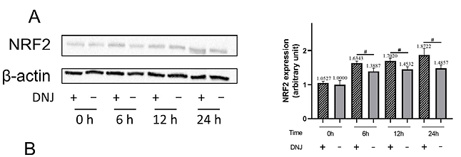 Chen Yuwei,et al-1.png