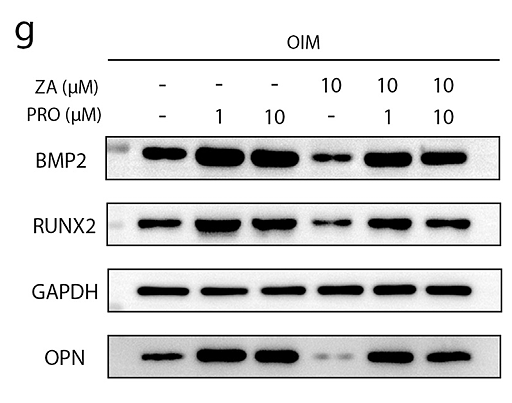 Du Qianxin,et al-1.png