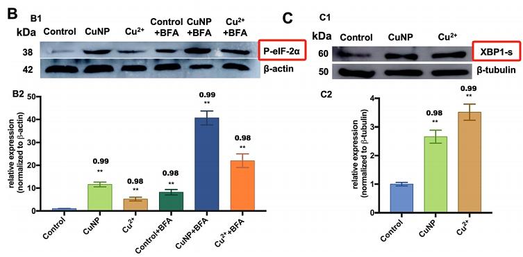 32169084 ET1603-14.jpg