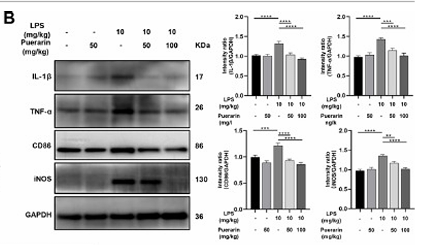 Hu Zujian,et al-1.png