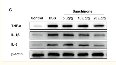 36699607 HA722022.png