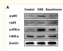 36699607 ET1603-12.png