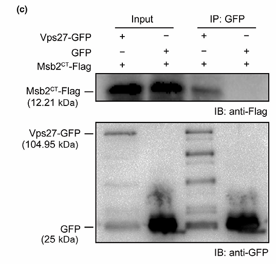 往年补图-39494465- M1403-2.png