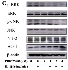 36642020 ET1609-42.png