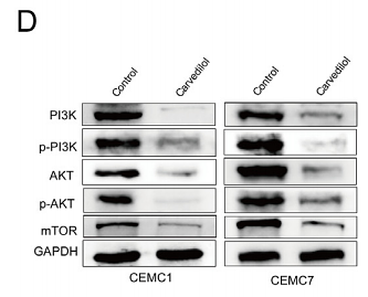 36495764 ET1608-5.png