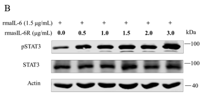 35216135 ET1607-39.png