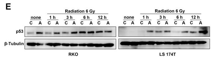 31903135 ET1602-4.jpg