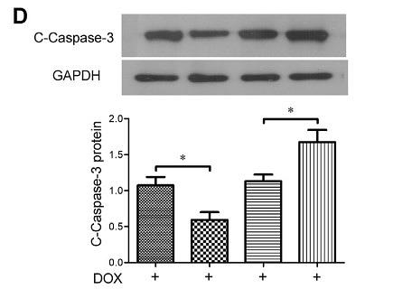 35452958 ET1602-47.jpg