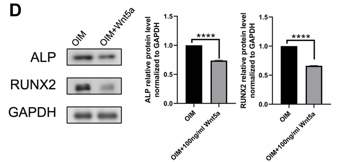 35237028 ET1601-21.png