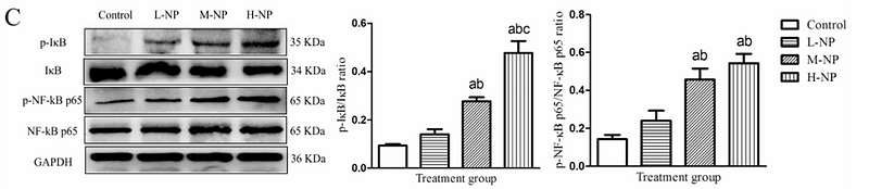 35998786 ET1603-6.png