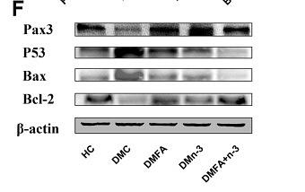 36039894 M1312-2.jpg