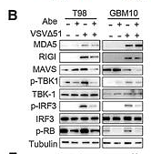 35792620 ET1612-14.png