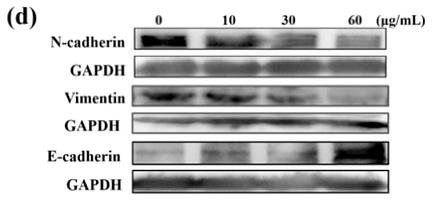 36473370 ET1607-75-1.png