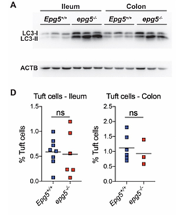 34520306 EM21002.png