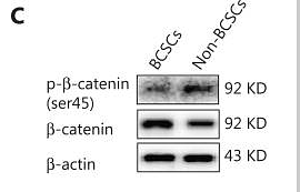 34403222 EM21002.png