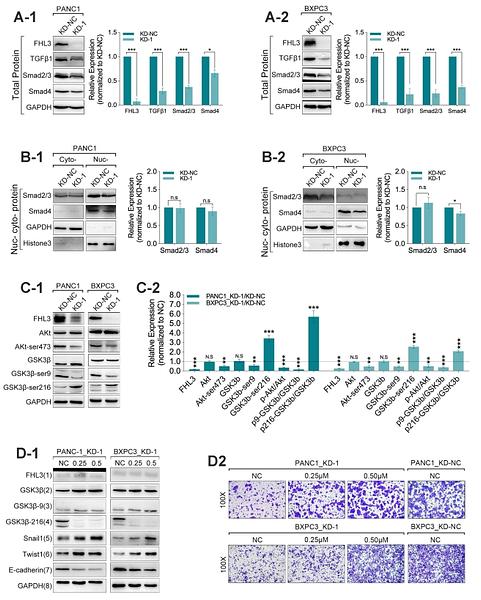 31935687 ET1607-73.jpg