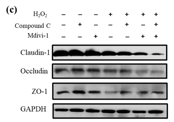 34943113 ET1601-4.png