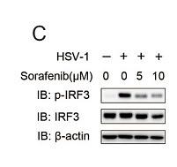 35921710 ET1612-14.jpg