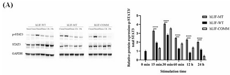 Liu Zhishuai,et al-3.png