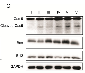 36816538 ET1603-27.png