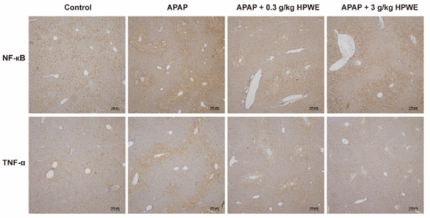 36572326 ET1603-12.png