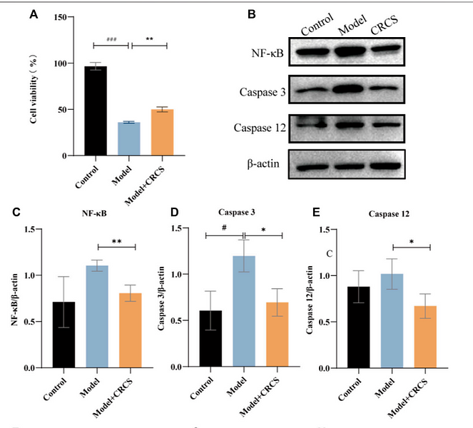 35928258 ER30804.png