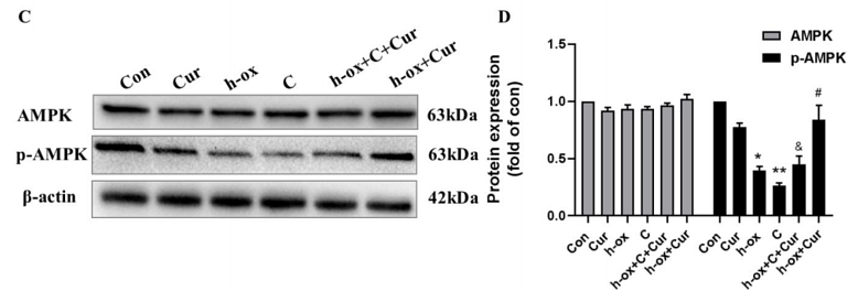 35432800 ET1608-40.png