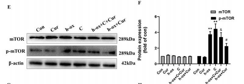 35432800 ET1608-5.png