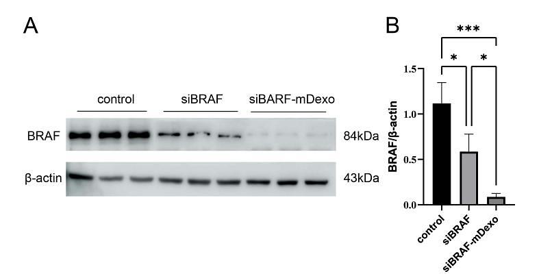 37489176 ET1608-36.jpg