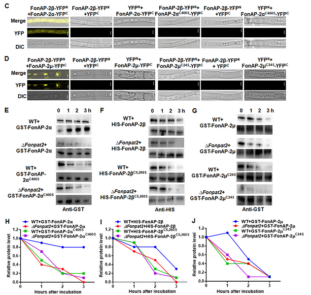 36533963 ET1601-4.png