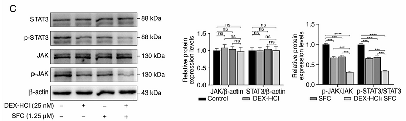 Li Weijing,et al-3.png