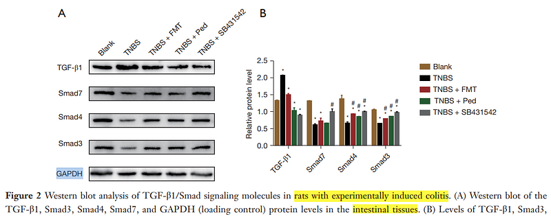 36034975 ET1607-41.png